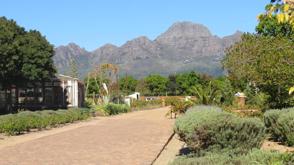 Ferienwohnung De Oude Schuur Stellenbosch Zimmer foto